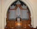 Organ